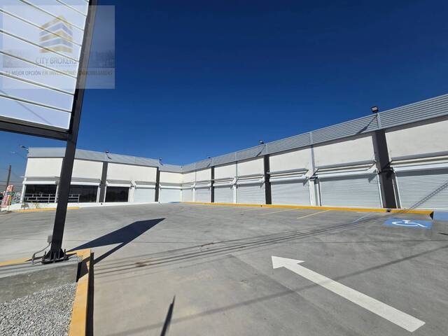 #175 - Conjunto Comercial para Renta en Juárez - CH