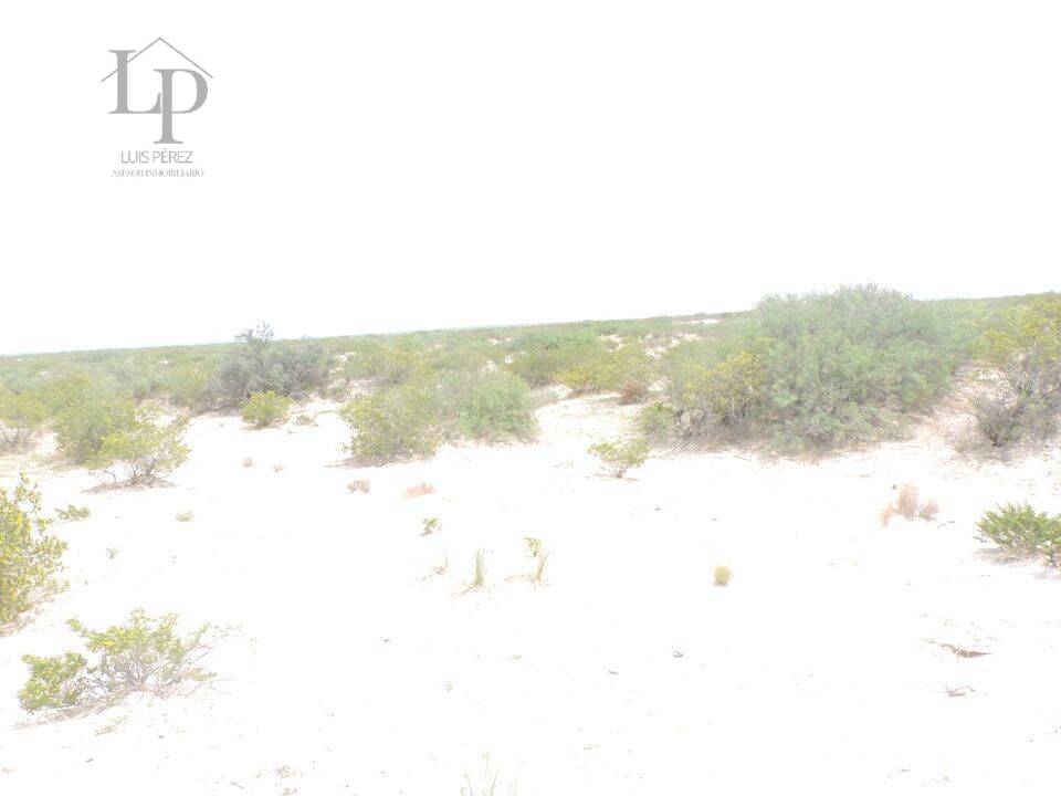 ATENCION  TERRENO DE 2 HECTAREAS EN VENTA,  EN REMATE