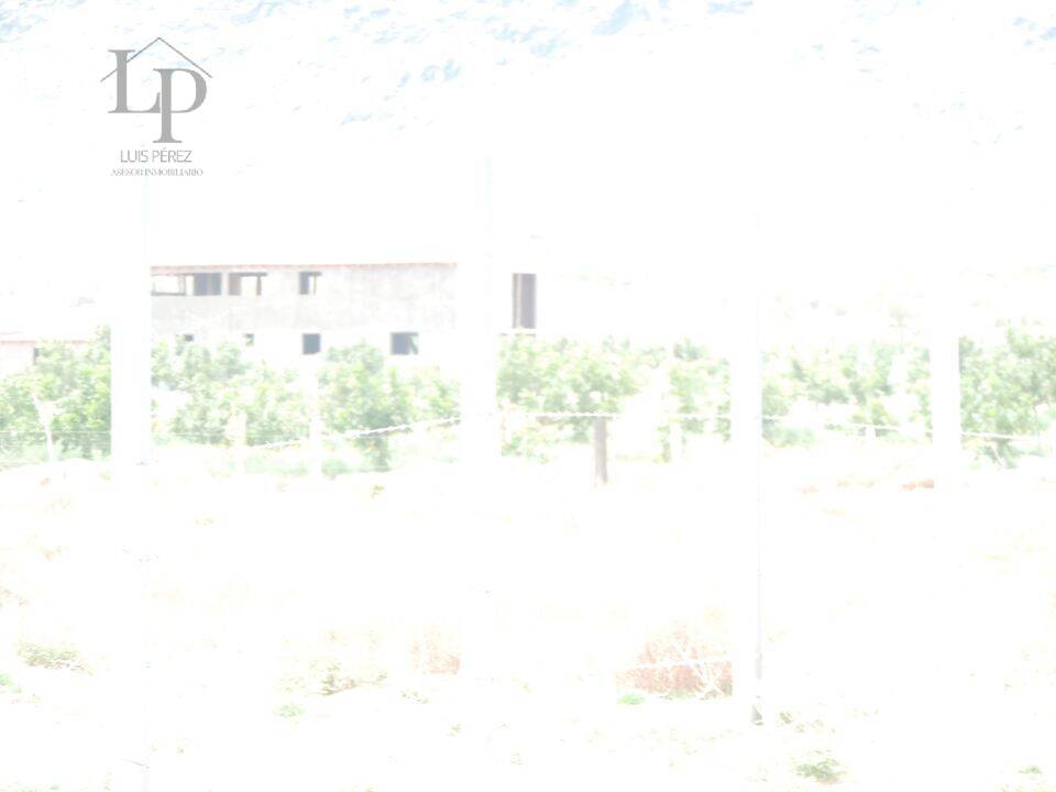 ATENCION  TERRENO DE 2 HECTAREAS EN VENTA,  EN REMATE