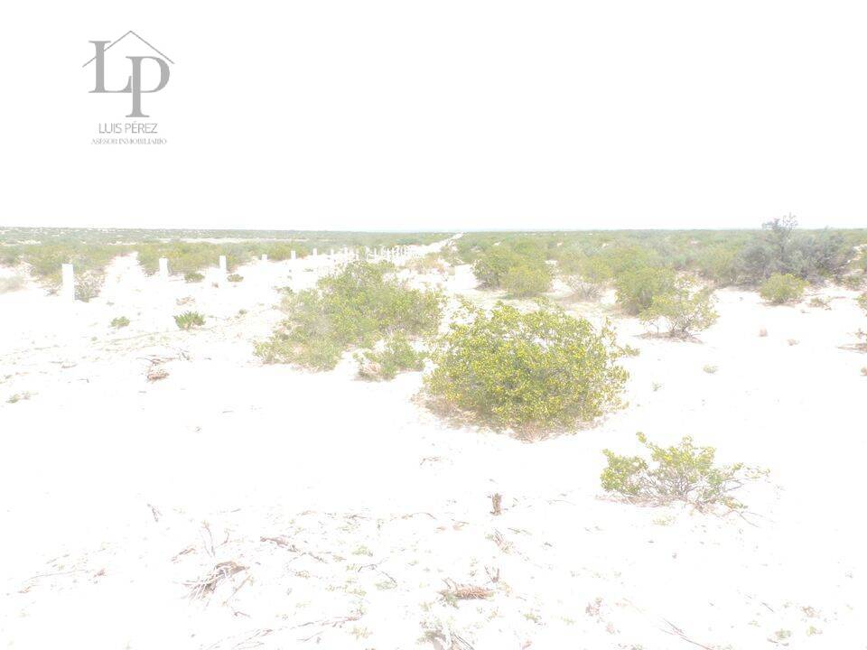 ATENCION  TERRENO DE 2 HECTAREAS EN VENTA,  EN REMATE