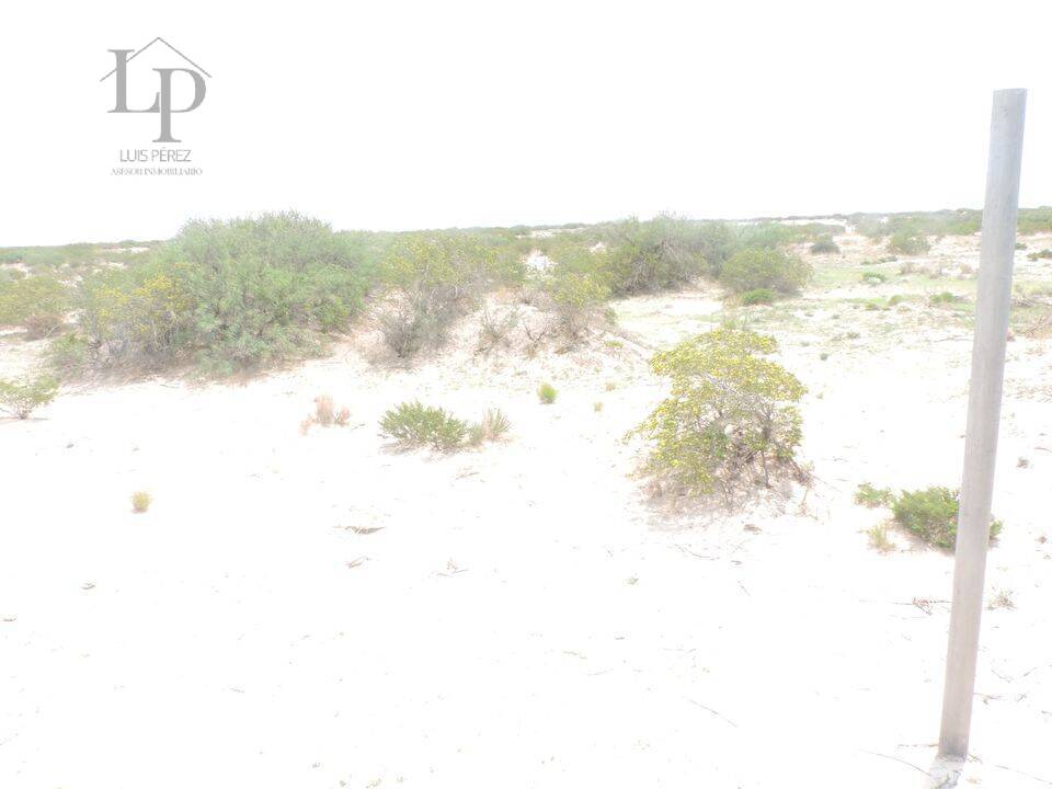 ATENCION  TERRENO DE 2 HECTAREAS EN VENTA,  EN REMATE