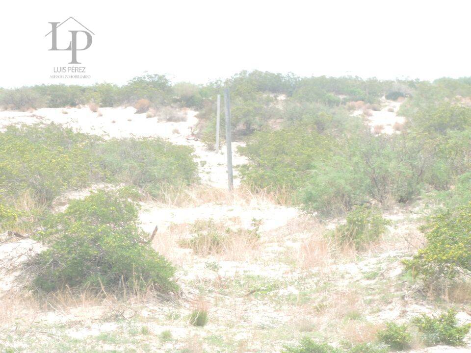 ATENCION  TERRENO DE 2 HECTAREAS EN VENTA,  EN REMATE
