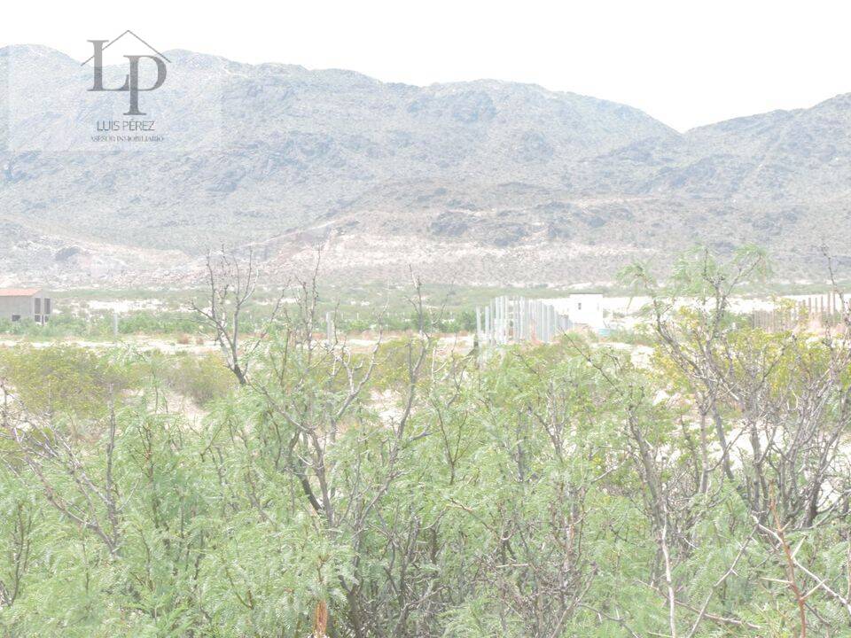 ATENCION  TERRENO DE 2 HECTAREAS EN VENTA,  EN REMATE