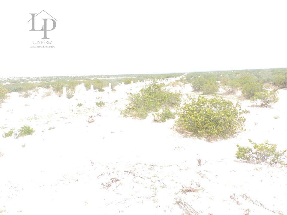 ATENCION  TERRENO DE 2 HECTAREAS EN VENTA,  EN REMATE