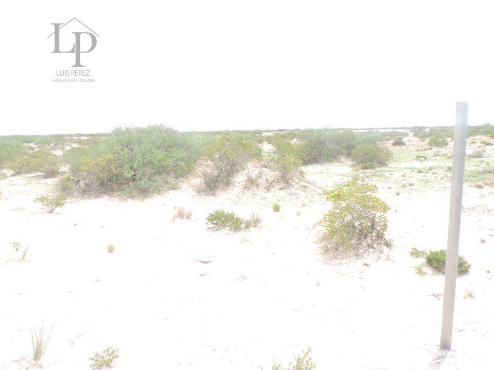 ATENCION  TERRENO DE 2 HECTAREAS EN VENTA,  EN REMATE