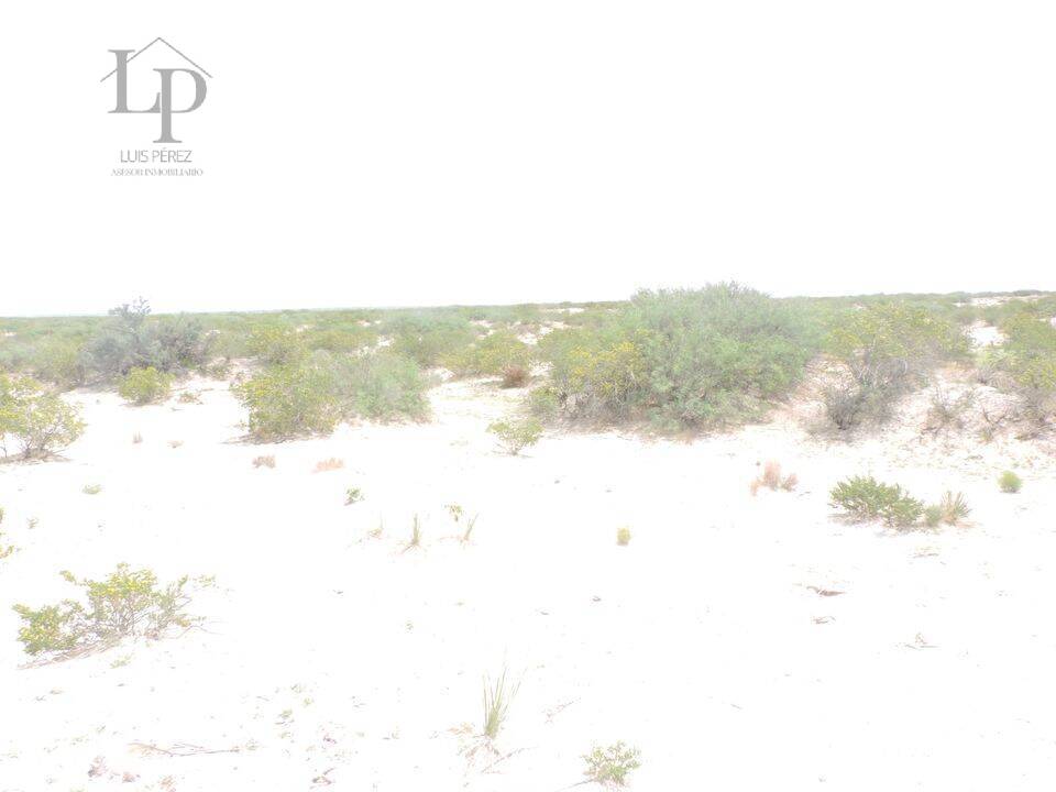 ATENCION  TERRENO DE 2 HECTAREAS EN VENTA,  EN REMATE
