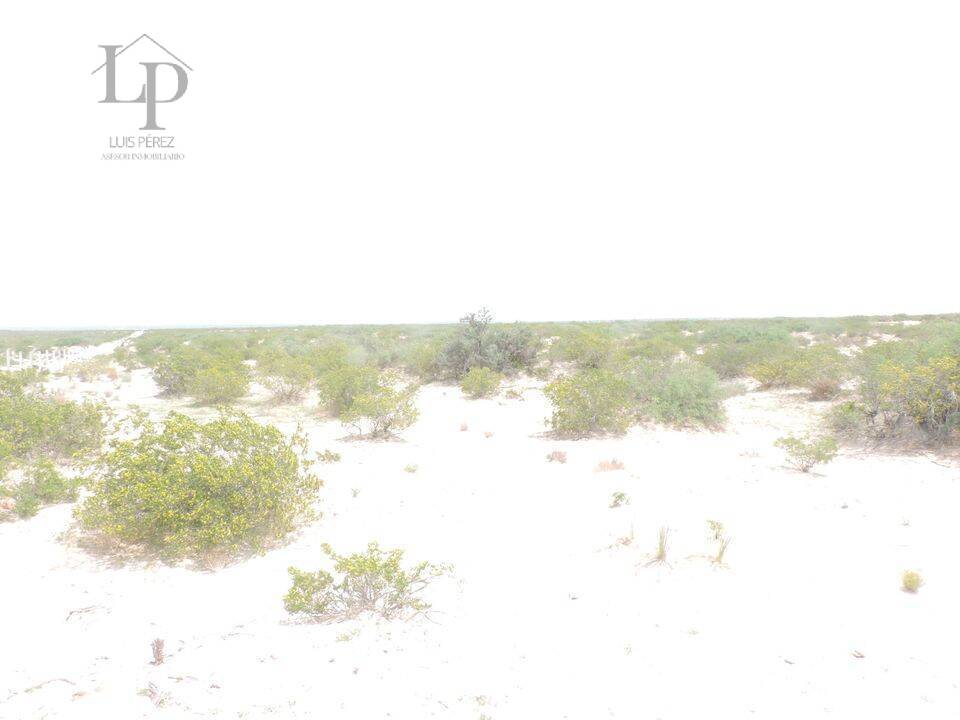 ATENCION  TERRENO DE 2 HECTAREAS EN VENTA,  EN REMATE