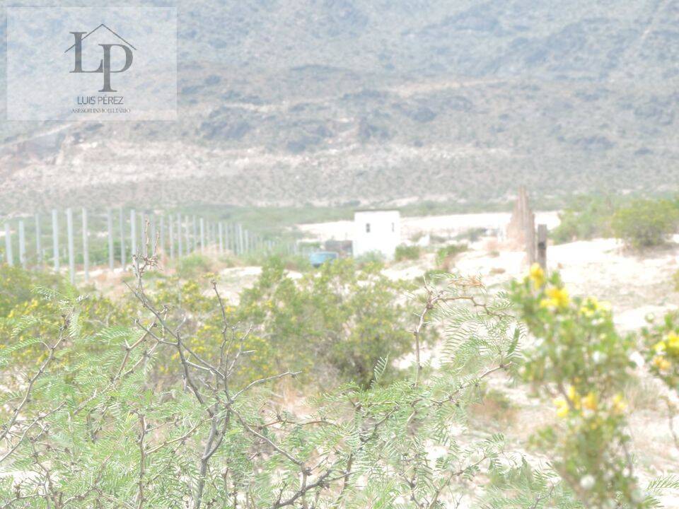 ATENCION  TERRENO DE 2 HECTAREAS EN VENTA,  EN REMATE