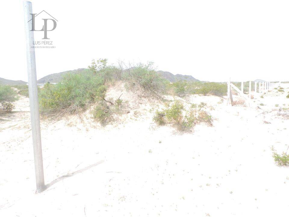 ATENCION  TERRENO DE 2 HECTAREAS EN VENTA,  EN REMATE