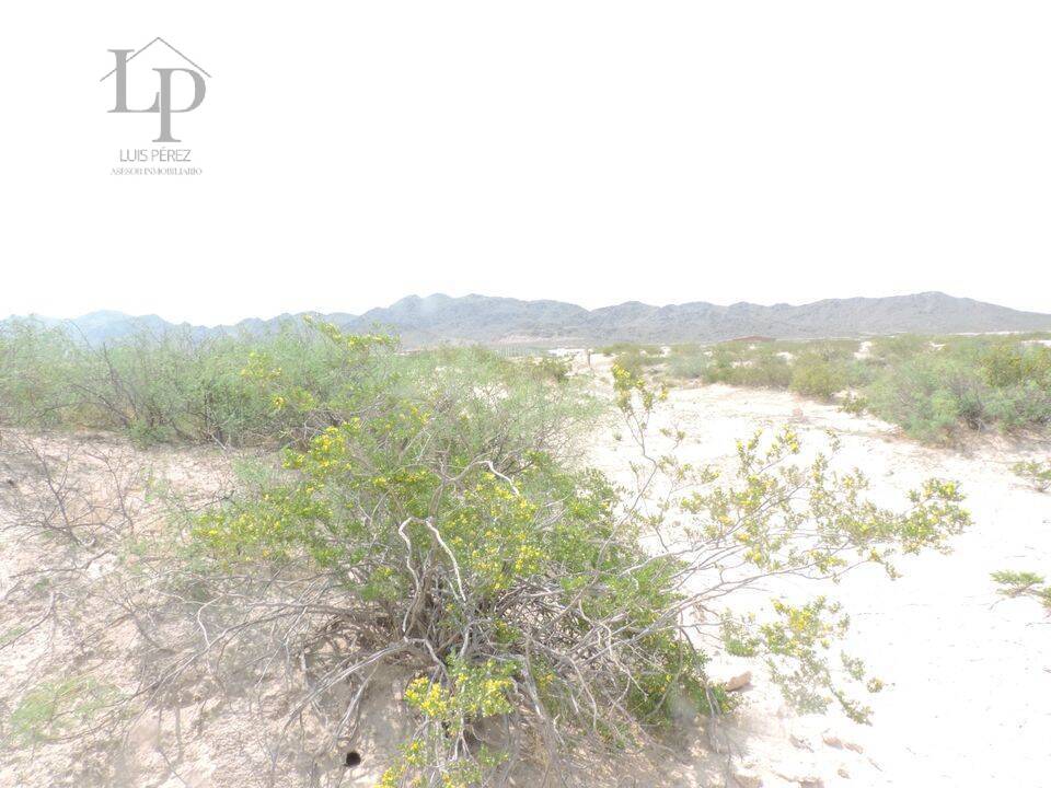 ATENCION  TERRENO DE 2 HECTAREAS EN VENTA,  EN REMATE