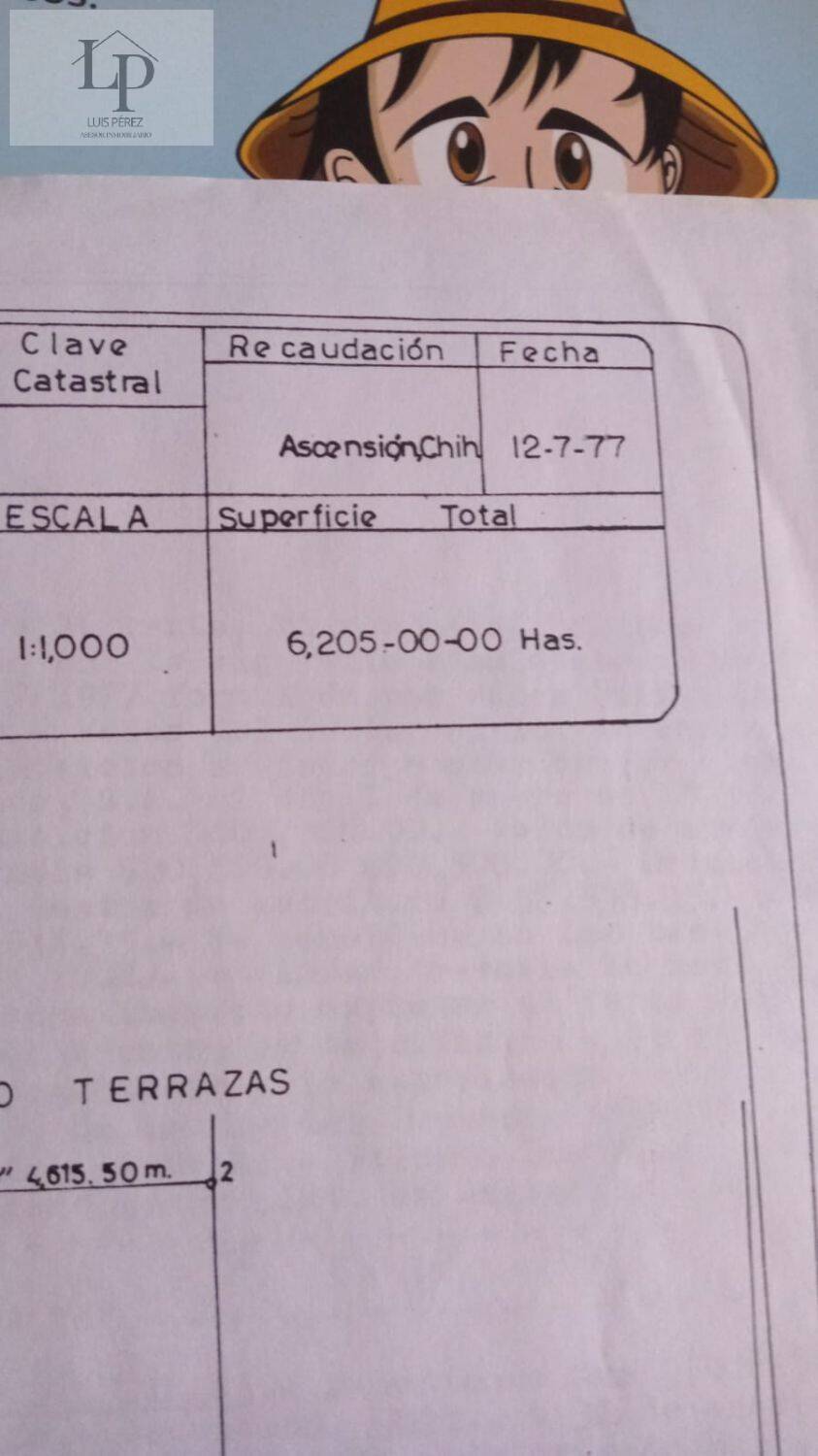 SE VENDE GRAN RANCHO DE 6205 HECTAREAS, SUPER PRECIO