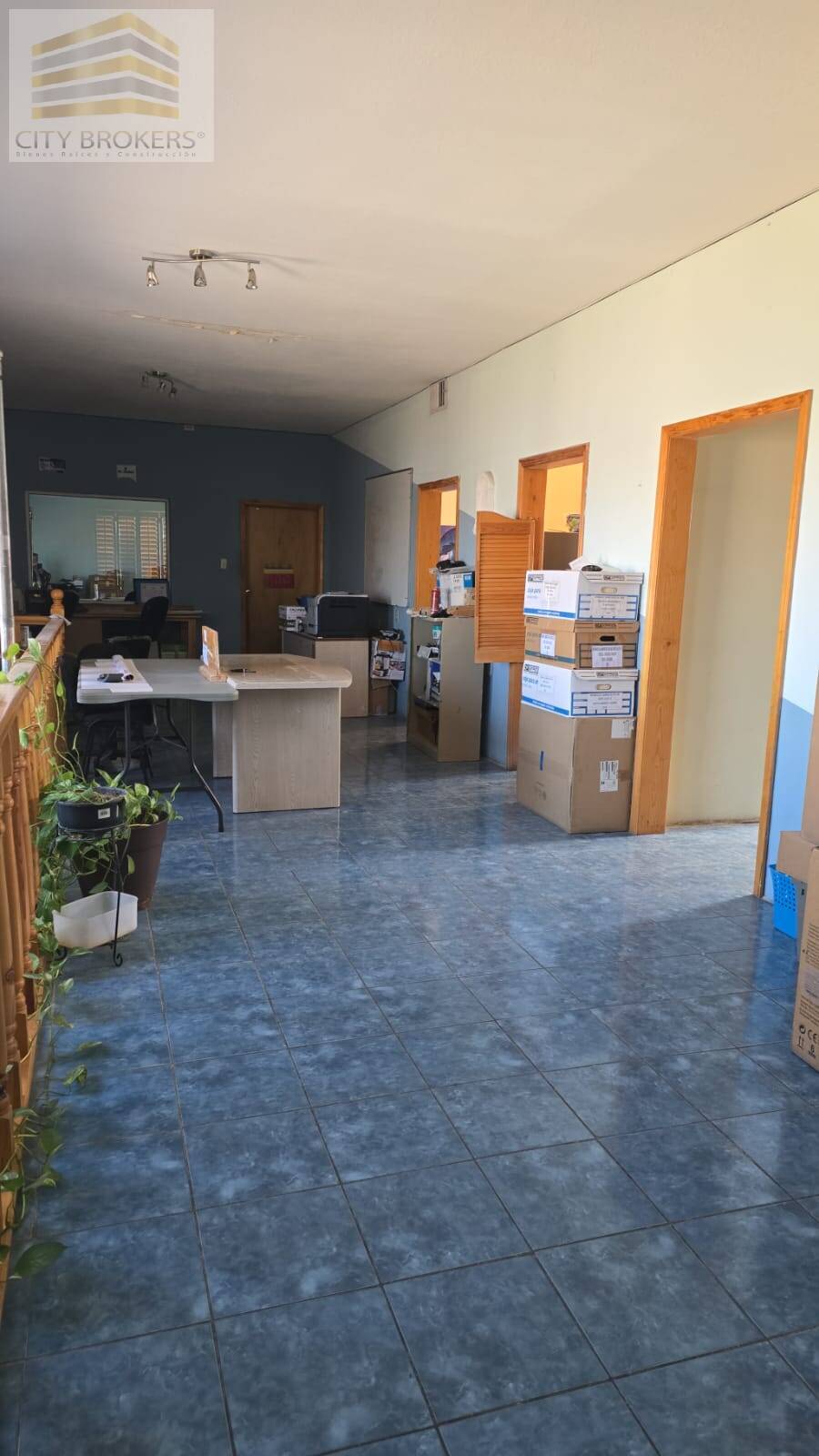 SE RENTAN  AMPLIAS OFICINAS Y , A UNA CUADRA DE PLUTARCO ELIAS CAL