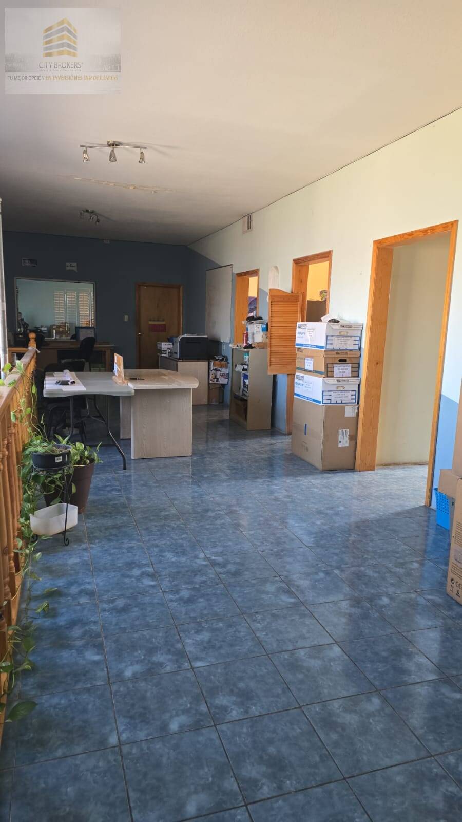 SE VENDEN  OFICINAS A 20 M DE PLUTARCO ELIAS CALLES CON MOBILIARIO INCLUIDO